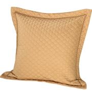 欧式沙发靠垫抱枕套正方形靠枕床头抱枕家用大靠背60x60夹棉加厚