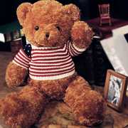 高档泰迪熊布娃娃女生抱抱熊毛绒，玩具熊公仔(熊，公仔)大号超大床上2米抱枕