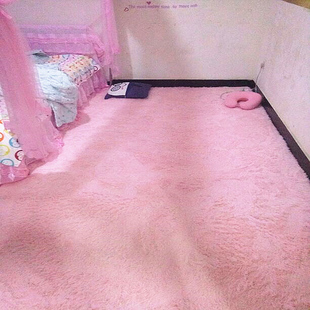 简约现代防滑丝毛地毯卧室满铺房间可爱地垫客厅家用可机洗床边毯