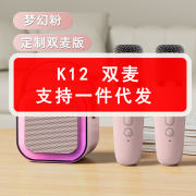 K12蓝牙音响迷你便携K歌麦无线蓝牙一体机卡拉OKother/其他 其他