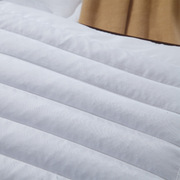 荞麦壳药包保健枕头家用民宿护颈椎枕芯成人一对枕头芯
