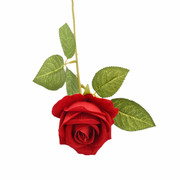 单枝红玫瑰仿真花干花束jk拍照直播道具节日礼物婚庆摆设装饰假花