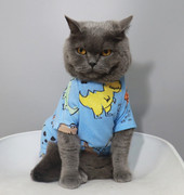 夏季宠物衣服猫短袖加菲英短T恤卡通宠物狗猫衣服印花 恐龙