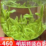 2024新茶正宗白茶安吉明前特级珍稀绿茶叶散装春茶头采嫩芽礼盒装