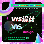 vi设计全套公司企业品牌vi设计全案vi手册商，标志餐饮vis视觉设计