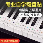 纳米彩色无胶钢琴键盘贴纸88/61/54键儿童成人电子琴五线谱按键贴