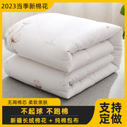 棉花被子手工棉被纯棉花被芯褥子垫被棉花胎棉絮加厚春秋冬被