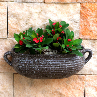 壁挂墙上花盆陶瓷欧式创意阳台多肉垂吊盆绿萝悬挂式装饰花器水培