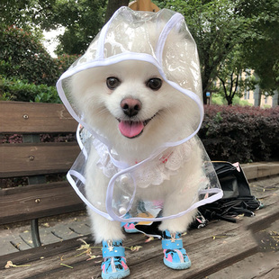 狗狗防水雨衣泰迪博美比熊小型幼犬，柯基中大型犬雨披透明宠物衣服