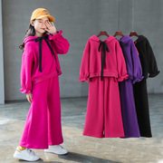 18韩版童装女童冬装加绒带帽卫衣，阔腿裤中大儿童洋气时髦两件套装