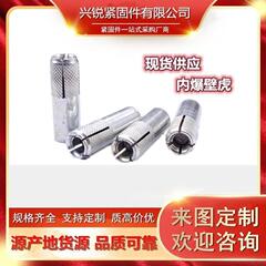 供应内爆螺丝内迫壁虎顶爆膨胀螺丝M6-M20拉爆膨胀螺丝