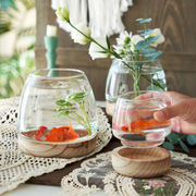 日式简约创意透明玻璃，花瓶插花水养植物绿萝水培，玻璃花瓶桌面摆件