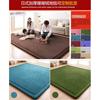 日式珊瑚绒地毯儿童，爬行毯榻榻米垫坐垫，床垫客厅卧室
