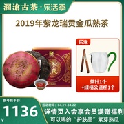 品牌直营澜沧古茶2019年紫龙瑞贡金瓜熟茶紫芽茶，普洱礼盒500g