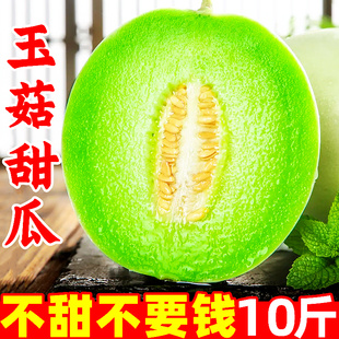 海南冰淇淋玉菇甜瓜新鲜10斤应当季水果玉菇冰淇淋翡翠香甜哈蜜瓜