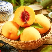 黄毛桃(黄毛桃)黄桃新鲜水果蜜桃，桃子应当季时令