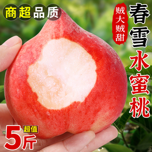 春雪水蜜桃5斤新鲜桃子水果，当季现摘整箱毛桃子(毛桃子)油脆甜桃大果3