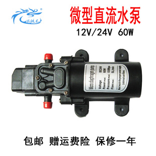 微型直流12v60w电动抽水泵24v家用自吸隔膜泵洗车打药，高压喷雾泵