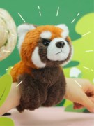 博物文创×波普自然，新年礼物小熊猫毛绒玩偶拍拍手环啪啪圈玩具