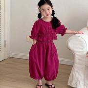2024韩版女童套装幼儿园宝宝甜美夏季二件套洋气泡泡袖灯笼裤童装