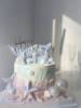 鱼尾蛋糕装饰插件硅胶模具，浪漫幻彩双鱼座主题小女孩公主生日插件