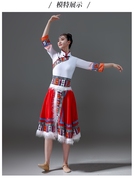 藏族表演服藏族舞舞蹈演出服，学生艺考广场舞，演艺舞台服装女款
