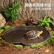 黄缘乌龟专用饮水泡澡盘半水龟喝水盆爬宠洗澡盆饲养箱造景