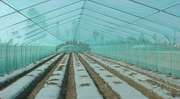 高档中国蔬果果e园农用地膜白色透明小微膜超薄塑料薄膜农膜加厚