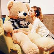 超大号熊公仔(熊公仔)泰迪熊，玩偶熊猫布娃娃女生抱抱熊毛绒玩具睡觉抱枕