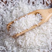 丝苗米长粒香大米籼米新米50斤南方淮河香米煲仔饭米蛋炒饭米5kg