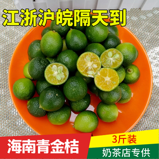 上海发海南小金桔青橘酸桔，多汁柠檬水果新鲜奶茶专用中果10斤