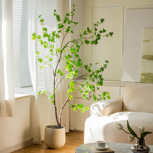 na家花房北欧仿真绿植摆件日本吊钟，植物室内客厅装饰大型落地盆栽