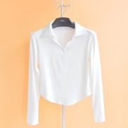 白色t恤衫女长袖2023 百搭修身显瘦打底衫莱卡棉弹力体恤上衣