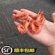 即食虾干送礼零食中秋送礼小九节虾干海小虾干海味礼盒自晒500G