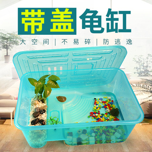 乌龟缸带晒台水陆缸塑料中大型巴西龟缸养龟缸乌龟活体专用缸鱼缸