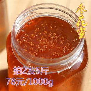 枣花蜜纯天然农家自产自销原蜜两斤 孕妇红枣蜂蜜成熟土蜂蜜