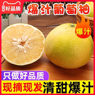 福建爆汁葡萄柚礼盒8斤柚子应季水果台湾品种黄金葡萄柚新鲜西柚Z