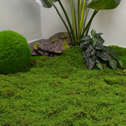 棕丝仿真青苔绿草皮假苔藓摆件园林造景苔藓球装饰绿植墙人造草坪