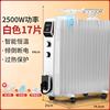 取暖器电暖器电热油汀片省电静音油丁对流电暖气取暖器用