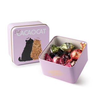  日本 cacaocat 情人节限定 多种口味夹心巧克力球 猫咪铁盒