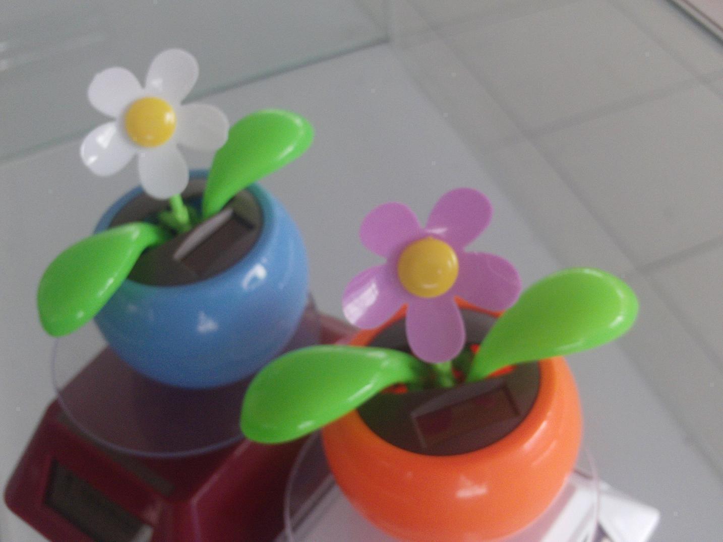 冲钻大促销装饰太阳能植物;太阳能花/太阳能苹果花;全场95折在类目 家居饰品, 创意饰品, 太阳能娃娃中 - 来自Buy2taobao.com提供专业的淘宝代购服务