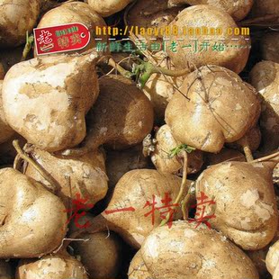  老一特卖 地瓜新鲜 蔬菜 凉薯 沙葛 豆薯 地瓜凉薯、土瓜、地萝卜