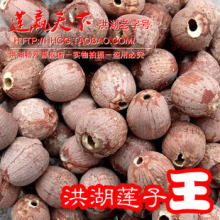 湖北特产 礼盒莲赢天下野生洪湖莲子 500g精品红莲子王无芯包邮