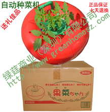全自动水培种菜机601 无土栽培设备果菜 恒温 家用 正品