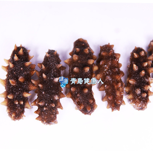  青岛速冻即食海参 营养丰富老人滋补海参刺参 20只顺丰包邮