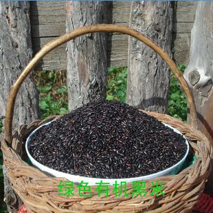  东北特产新农家肥种绿色有机新黑米包邮五谷杂粮粗杂粮