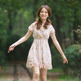 2012春装新款女装甜美田园碎花夏季复古蕾丝雪纺裙雪纺连衣裙子
