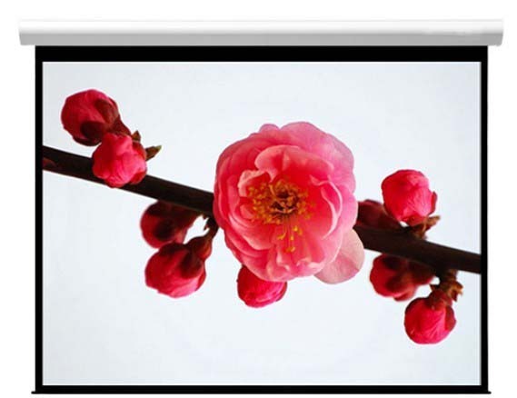 视美佳投影幕 120寸4:3电动玻珠幕 电动幕布 4:3 高清投影屏幕在类目 办公设备/耗材/相关服务, 投影机配件, 幕布中 - 来自Buy2taobao.com提供专业的淘宝代购服务