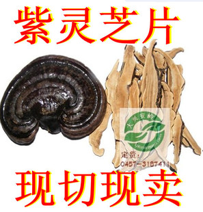  大兴安岭半野生紫灵芝片现切送糖尿病高血压首选特价批发包邮
