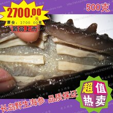 超值热卖 长岛野生无盐海参 超干极品60-70头500克 不买后悔